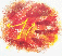 mediumhand.gif (44031 bytes)